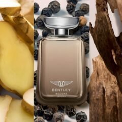Bentley Become Odyssey